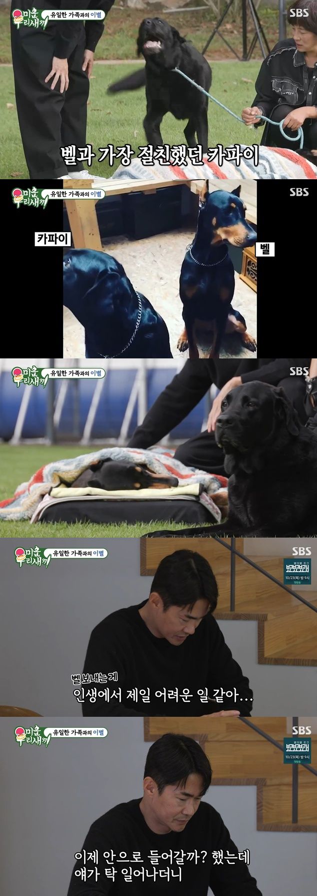 SBS '미운우리새끼' 캡처