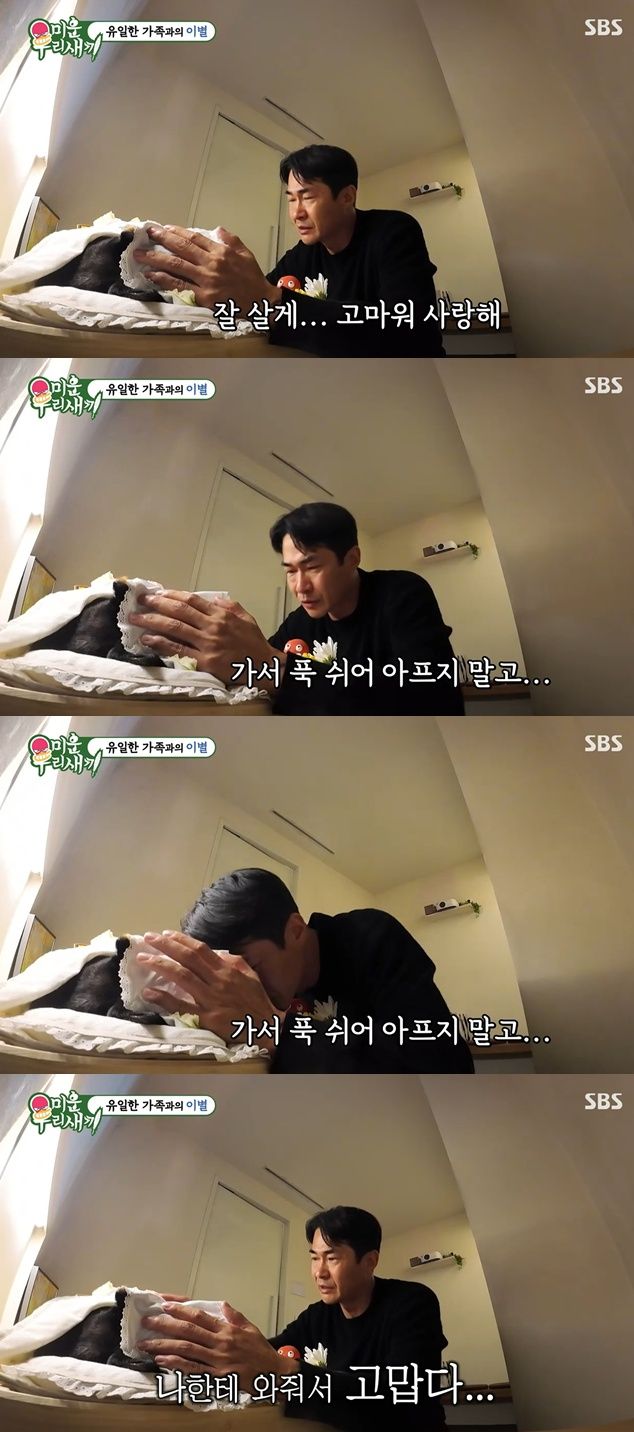 SBS '미운우리새끼' 캡처