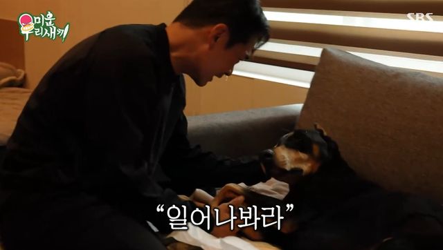 SBS '미운 우리 새끼' 캡처