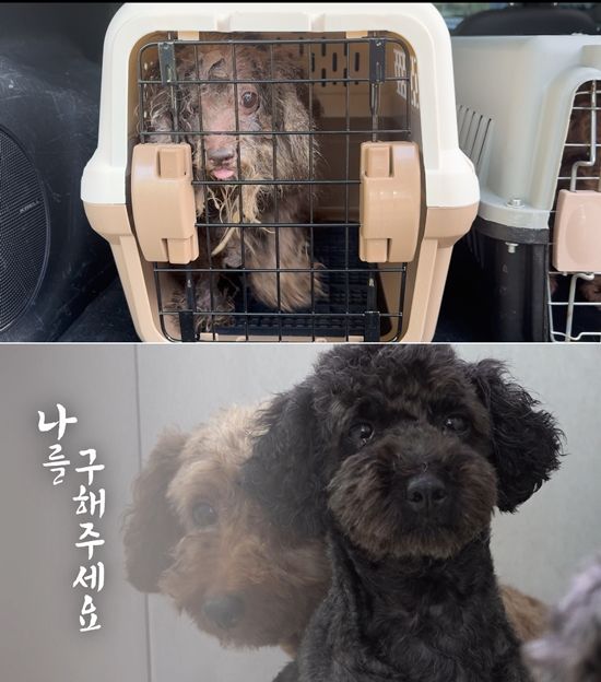 사진= MBC '실화탐사대' 제공