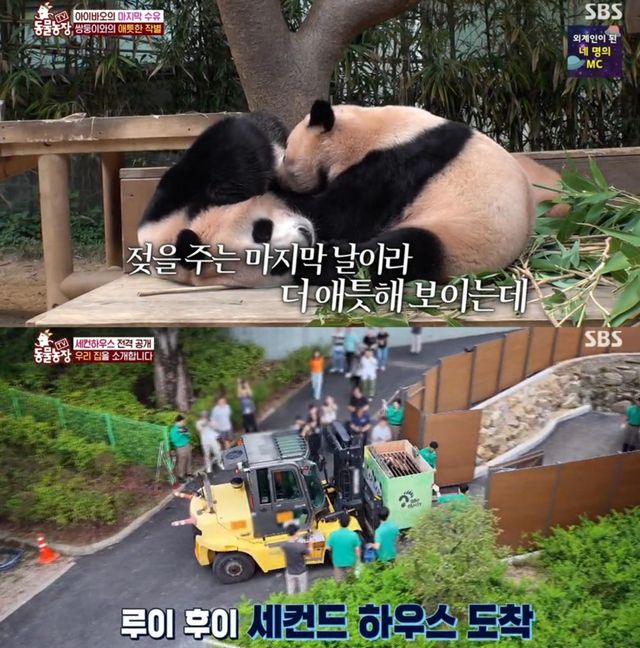 '동물농장' 방송 화면