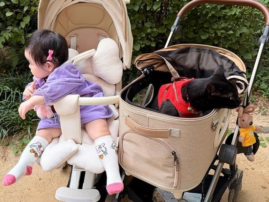 사진= 박수홍 SNS