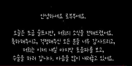 유튜브 채널 '로부부'