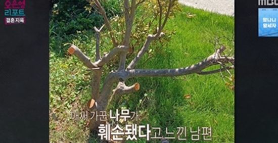 MBC '오은영 리포트-결혼 지옥'