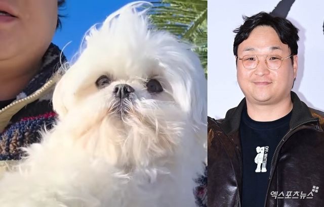 유튜브 채널 '꽃분이', 엑스포츠뉴스 DB