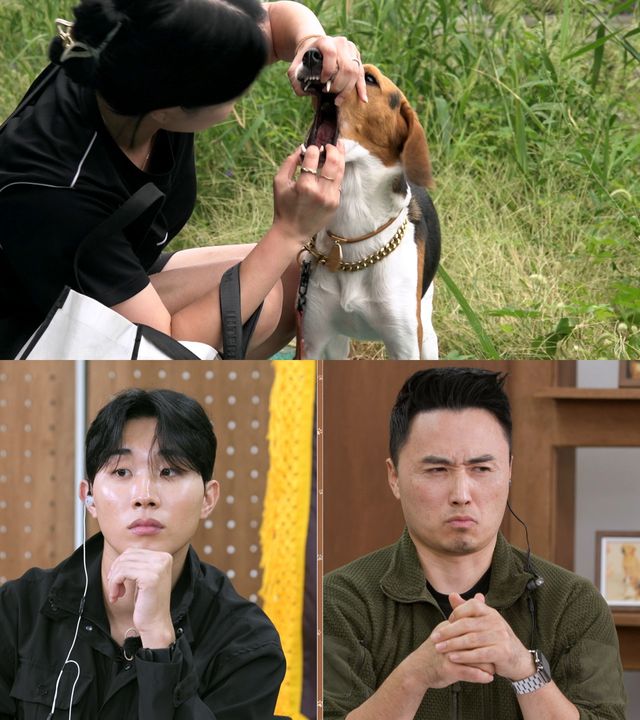 사진=KBS 2TV '개는 훌륭하다'