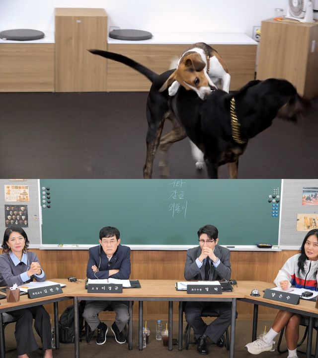 사진=KBS 2TV '개는 훌륭하다'