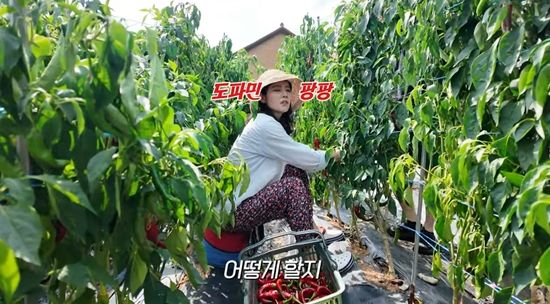 한가인이 조카 소개팅에 설렜다. 사진=유튜브 채널 '자유부인 한가인'