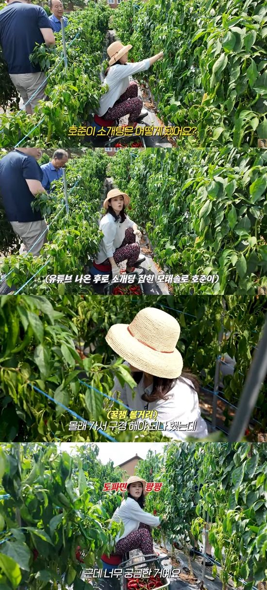 조카 소개팅 소식을 알리는 한가인. 사진=유튜브 채널 '자유부인 한가인'