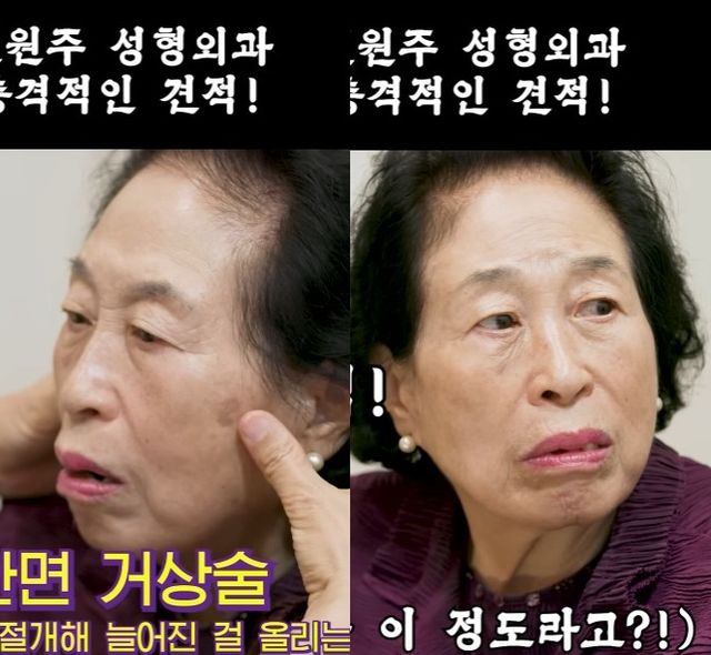 배우 전원주 유튜브