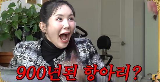 'A급 장영란' 채널 캡쳐