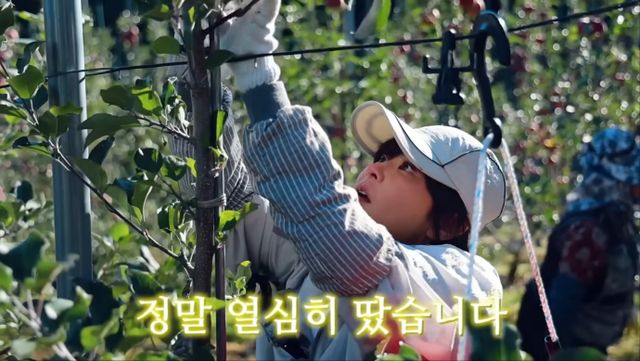 유튜브 채널 '나도최강희' 영상 캡처