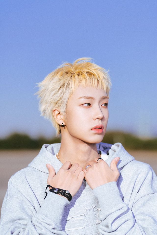 더씬드롬 정지영