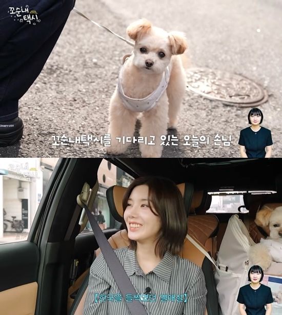 사진= 유튜브 '꼬순내택시' 제공