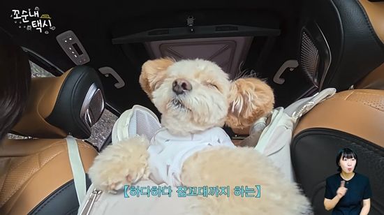 사진= 유튜브 '꼬순내택시' 제공