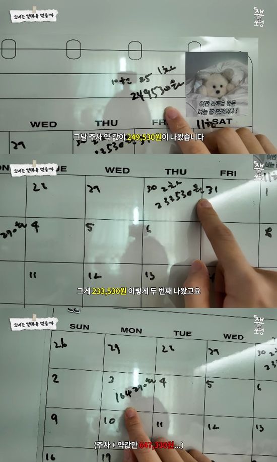 사진= 유튜브 '주부됐쏘영' 영상 캡처