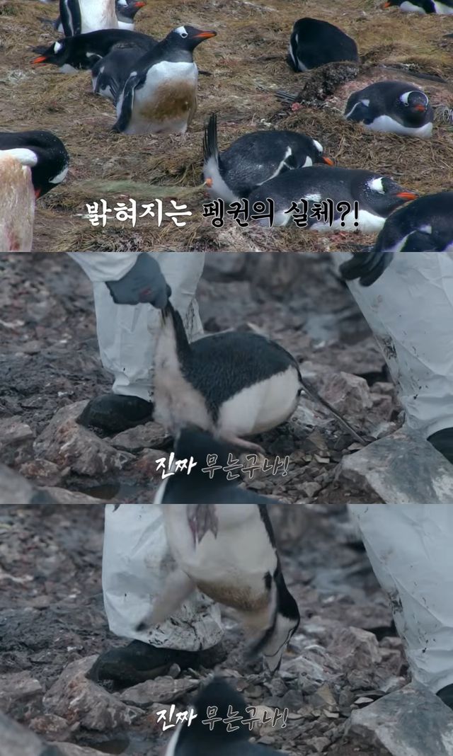 '남극의 셰프' 예고편 캡처