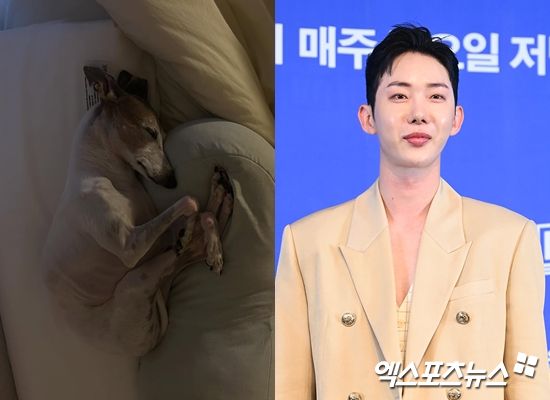 조권 반려견과 조권