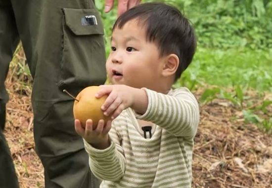 KBS 2TV '슈퍼맨이 돌아왔다'