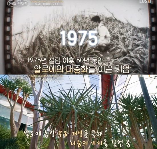 EBS '서장훈의 이웃집 백만장자'