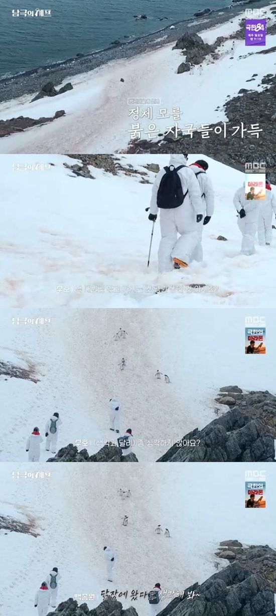 사진= MBC '기후환경 프로젝트 - 남극의 셰프' 방송 캡처
