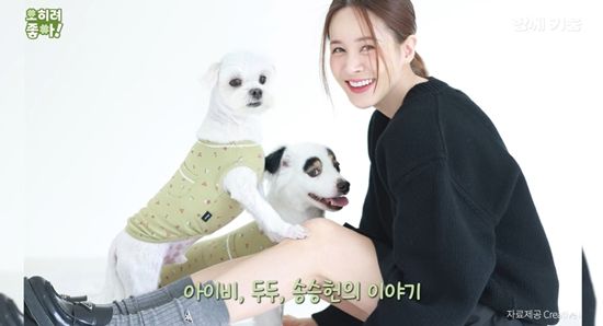 함께 키움 유튜브 채널 캡처