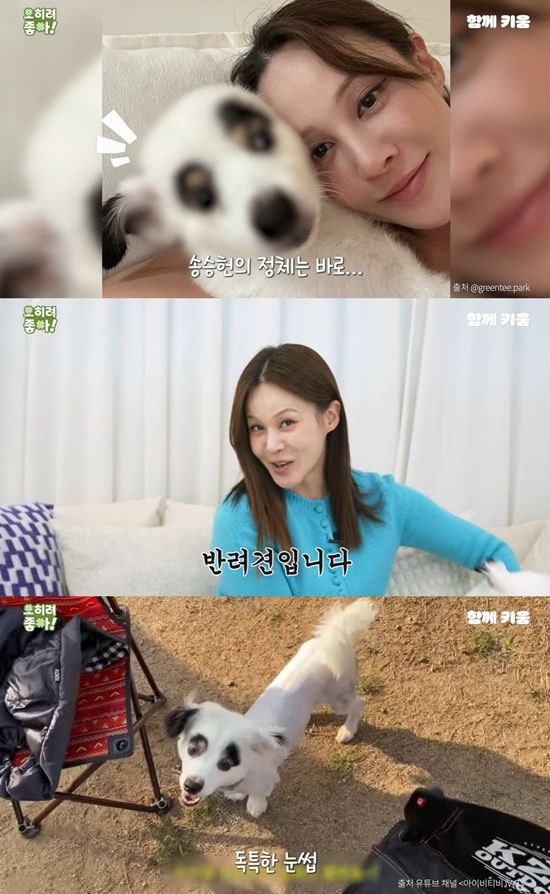 함께 키움 채널 캡처