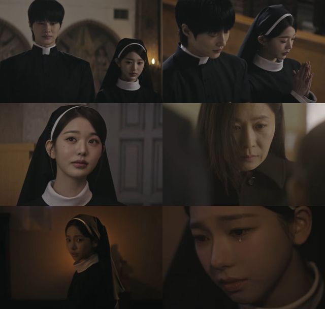 유튜브 '돌고래유괴단' 채널