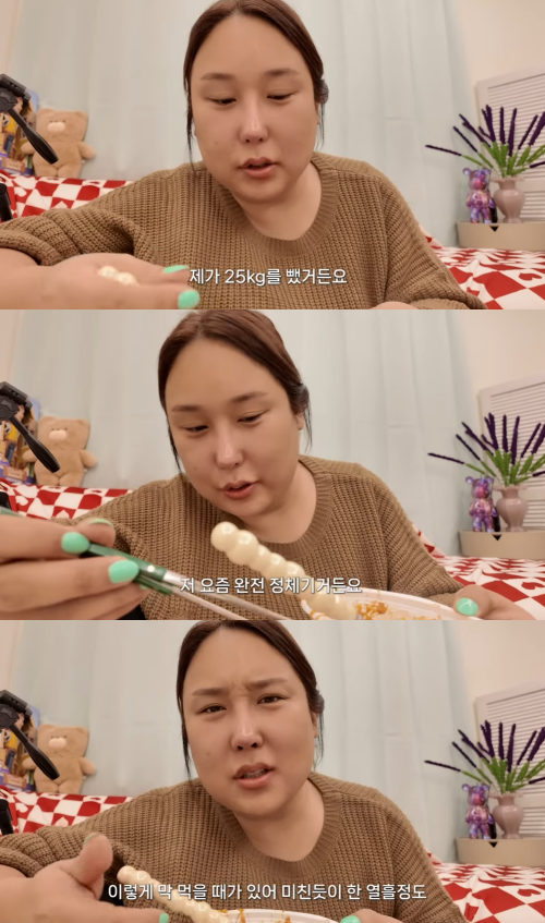 '풍자테레비' 채널 캡처.