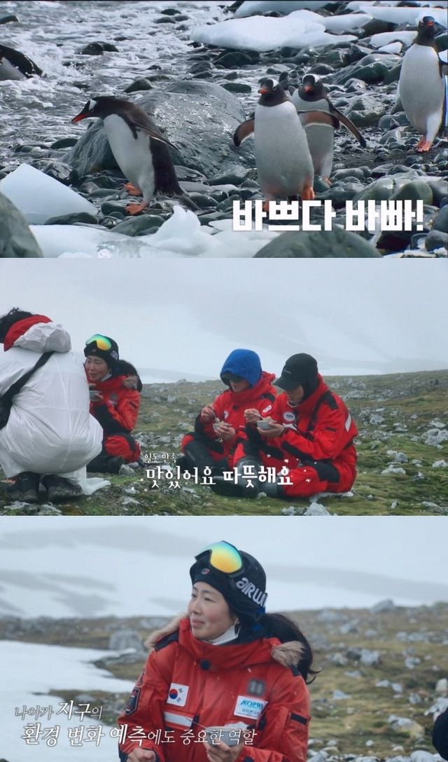 '남극의 셰프' 방송 화면