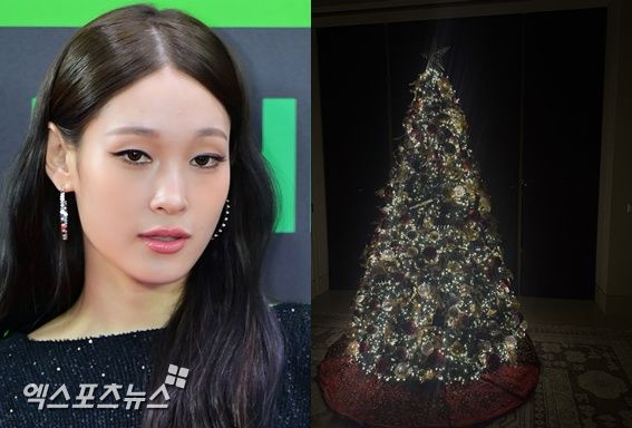 엑스포츠뉴스DB 애니, 애니가 공개한 트리