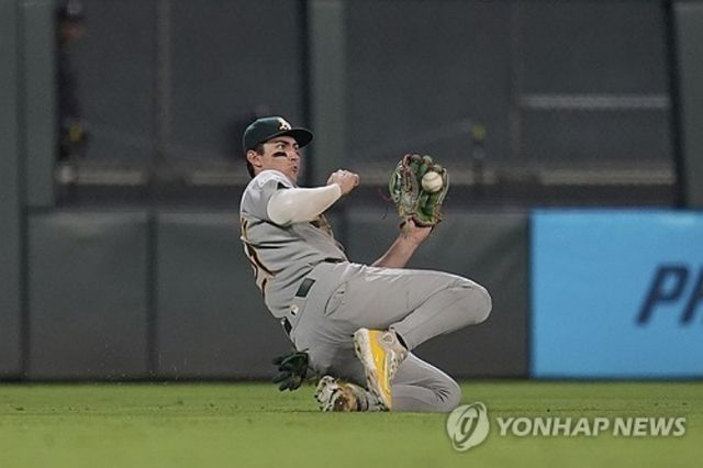 올해 첫 빅리그 풀타임 시즌을 소화한 외야수 타일러 소더스트롬이 소속팀 애슬레틱스와 7년 8600만 달러(약 1247억원) 규모의 연장 계약에 합의했다. 만약 2033년 구단 옵션이 발동될 경우 계약 총액은 최대 1억3100만달러(약 1900억원)까지 늘어날 수 있다. AP 연합뉴스