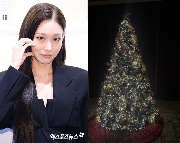 애니, 엑스포츠뉴스 DB / 데이오프 캡처.