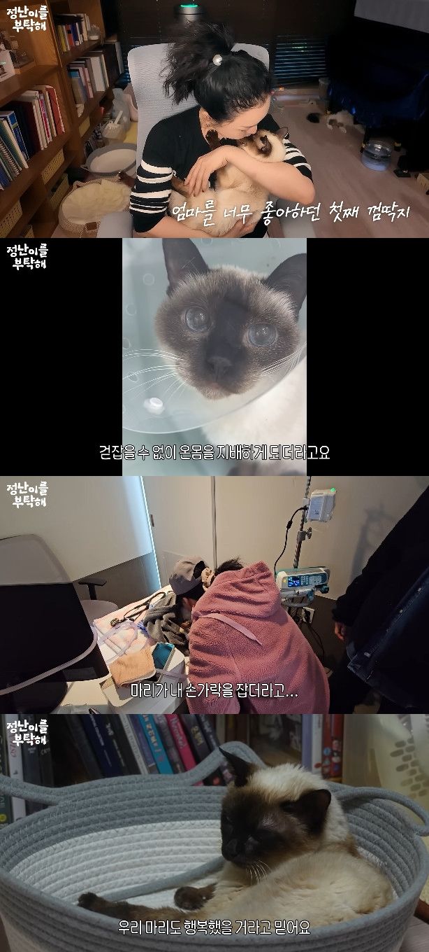 사진= 유튜브 '김정난' 영상 캡처