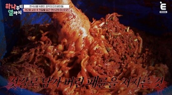 티캐스트 E채널 '하나부터 열까지'