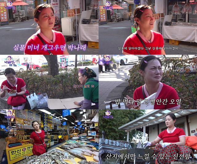 유튜브 '나래식' 캡처