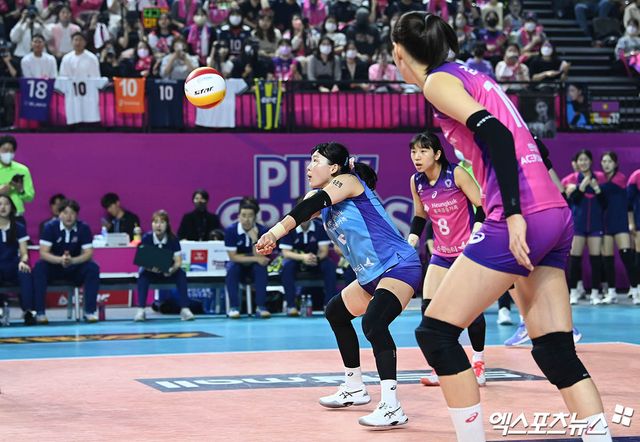 여자프로배구 리베로 김해란이 V리그 정규리그 경기에서 리시브하고 있다. 엑스포츠뉴스 DB