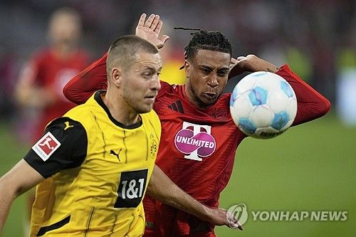바이에른 뮌헨과 도르트문트가 13일(한국시간) 독일 뮌헨에 있는 알리안츠 아레나에서 열린 2024-2025시즌 분데스리가 29라운드 '데어클라시커' 맞대결에서 2-2 무승부를 기록했다.&nbsp;연합뉴스