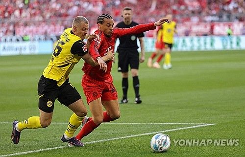 바이에른 뮌헨과 도르트문트가 13일(한국시간) 독일 뮌헨에 있는 알리안츠 아레나에서 열린 2024-2025시즌 분데스리가 29라운드 '데어클라시커' 맞대결에서 2-2 무승부를 기록했다.&nbsp;연합뉴스