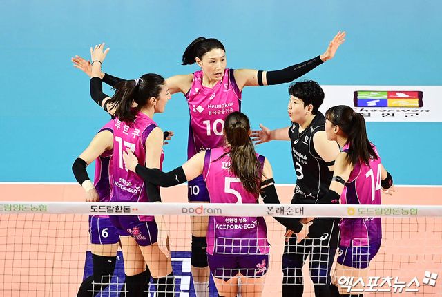 흥국생명 선수들이 2일 인천 삼산월드체육관에서 열린 정관장과의 챔피언결정전 2차전에서 세리머니하고 있다. 엑스포츠뉴스 삼산, 박지영 기자