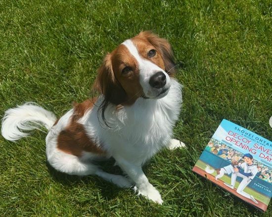 LA 다저스 이도류 슈퍼 스타 오타니 쇼헤이가 어린이들을 위해 반려견 데코이를 주제로 한 동화책을 발간할 예정이다. 오타니 개인 SNS 계정 캡처