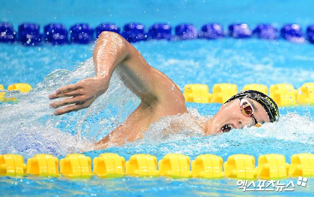 한국 수영 중장거리 간판 김우민(강원도청)이 국제수영연맹(World Aquatics) 세계수영선수권대회 남자 자유형 400m에서 동메달을 따냈다. 김우민은 27일 싱가포르 칼랑의 세계수영선수권대회 아레나에서 열린 2025 국제수영연맹 싱가포르 세계수영선수권대회 남자 자유형 400m 결승에서 3분42초60의 기록으로 터치패드를 찍었다. 독일의 루카스 메르텐스, 호주의 새뮈얼 쇼트에 이어 3위로 들어왔다. 메르텐스에 불과 0.25초 차 뒤질 만큼 좋은 레이스였다. 김우민은 지난해 도하 대회(남자 자유형 400m 금메달·계영 800m 은메달)에 이어 두 대회 연속 세계선수권대회 입상에 성공하는 쾌거를 달성했다. 엑스포츠뉴스DB