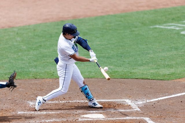 탬파베이 레이스 김하성. REUTERS 연합뉴스