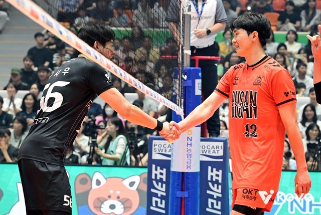 한국배구연맹(KOVO)은 '14일 새벽 국제배구연맹(FIVB)으로부터 2025 여수·NH농협컵 프로배구대회 남자부를 일정 조건에 맞춰 진행할 수 있음을 승인받았다'고 발표했다.&nbsp;KOVO