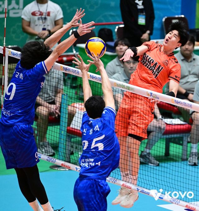 19일 오후 전라남도 여수 진남체육관에서 열린 '2025 여수·NH농협컵 프로배구대회' 남자부 준결승 OK저축은행과 한국전력의 경기, OK저축은행 신장호가 공격을 시도하고 있다. KOVO
