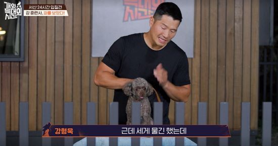 강형욱이 '늑대 2호'에게 물렸다. 사진=채널 A 방송 화면