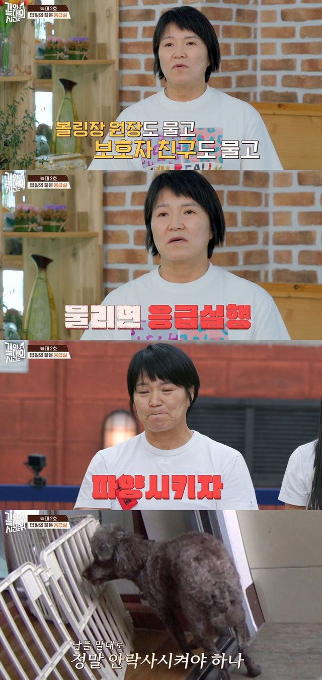 '개늑시' 방송 캡처. 사진=채널 A 