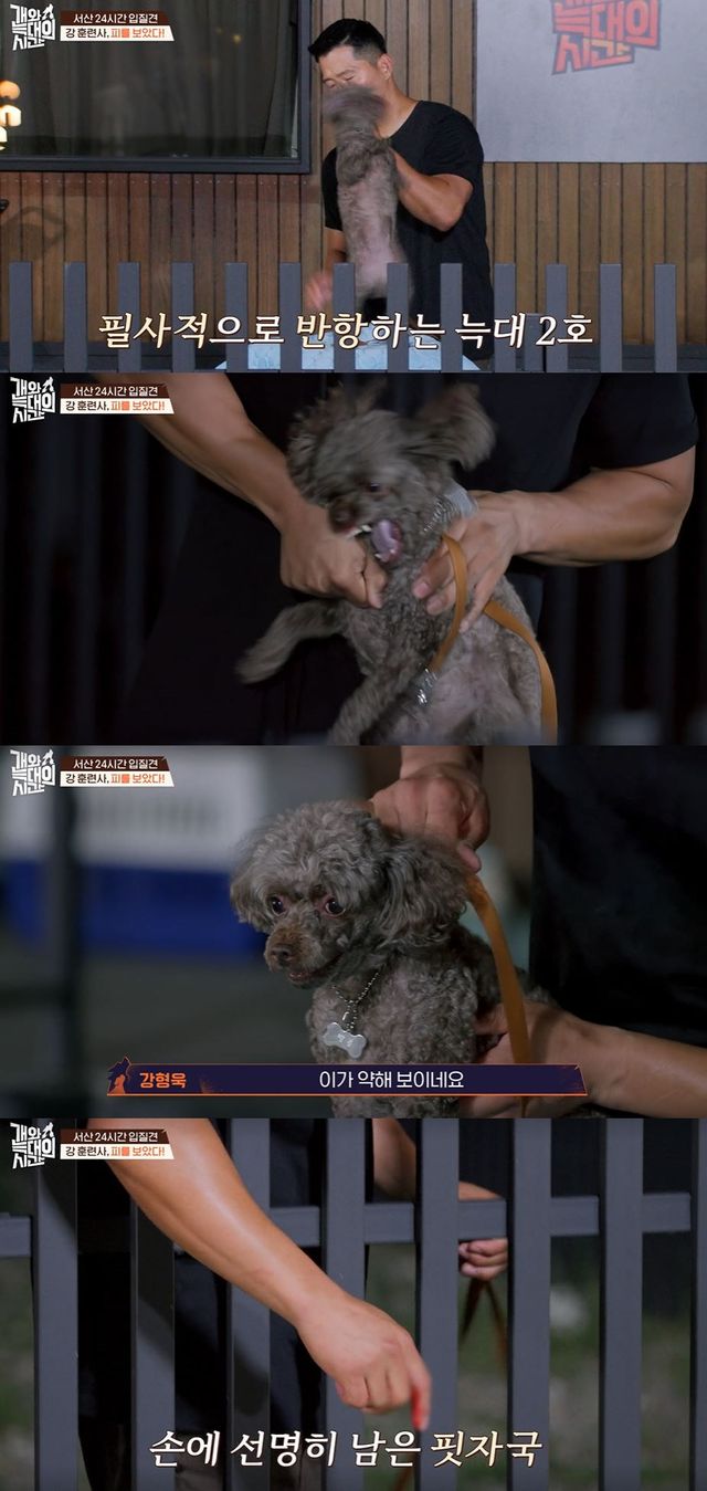 '개늑시' 방송 캡처. 사진=채널A