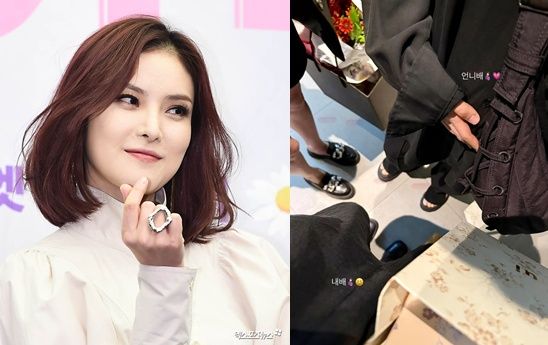 거미(좌), 이시영이 인스타그램에 올린 거미 D라인(우)