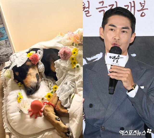 배정남과 반려견 벨.